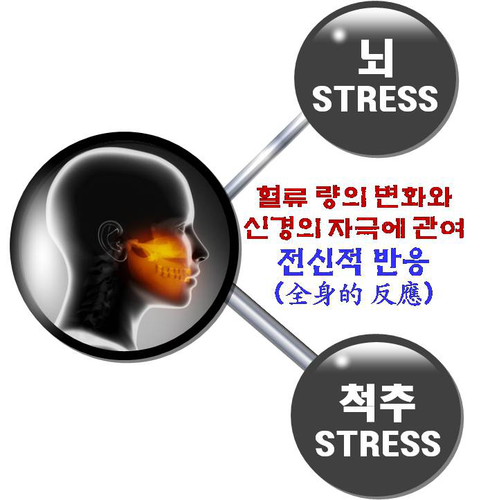 턱관절장애, 뇌의 기능활동이 비정상화된다. 척추구조의 부정렬을 야기시킨다. 신경계의 정보전달체계를 무너뜨린다. | SEASUN Korean Medicine Clinic